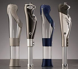 C-Leg Models